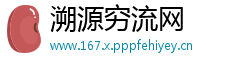 溯源穷流网